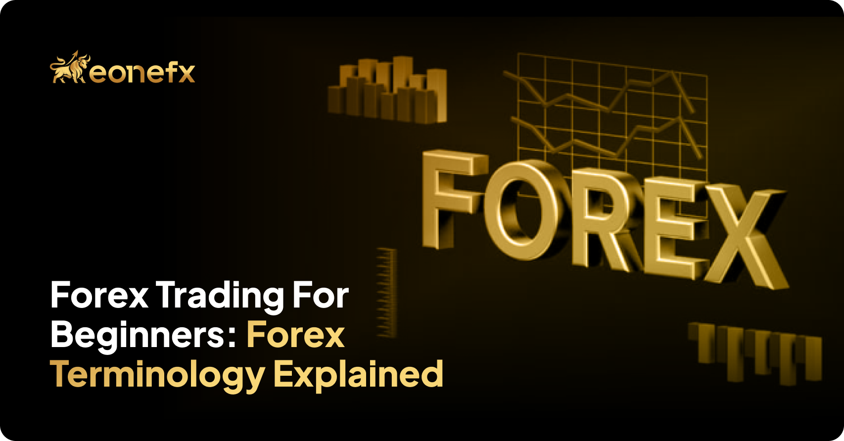 Forex Trading for Beginners: Forex Terminology Explained