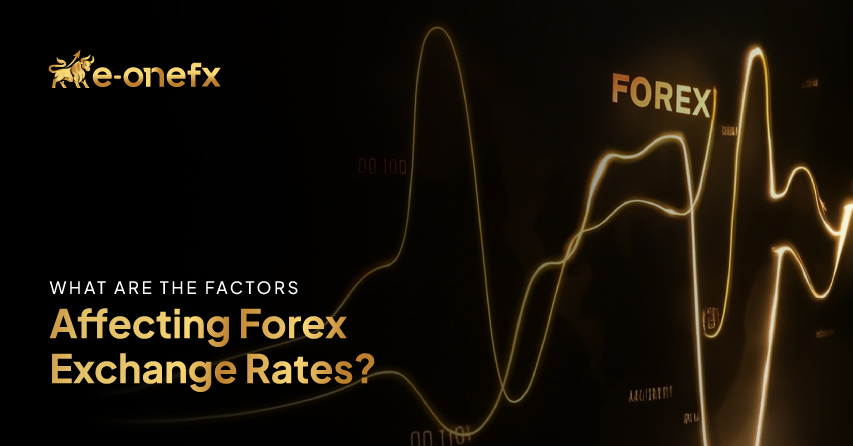 What are the Factors Affecting Forex Exchange Rates?